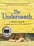 Book Cover Art